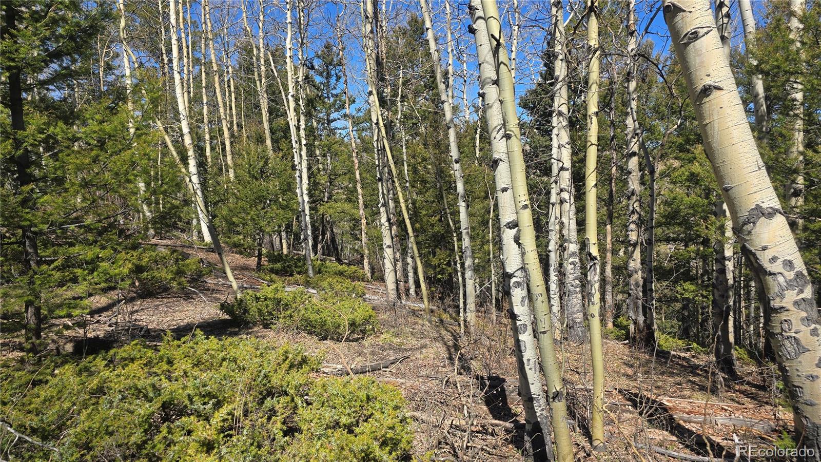 Lot 6708 Debbie Road
