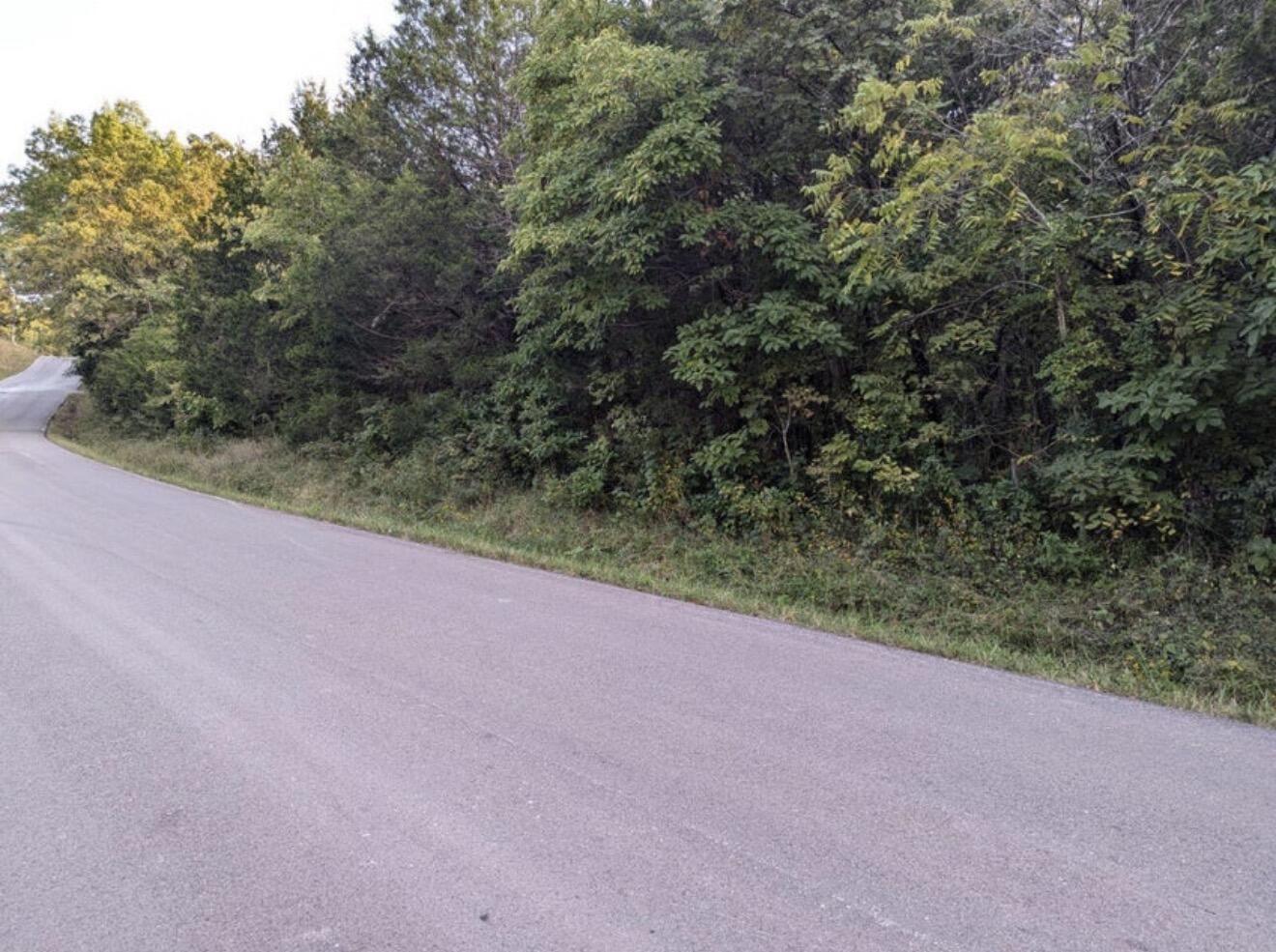 000 Grier Branch Lot 4 Road