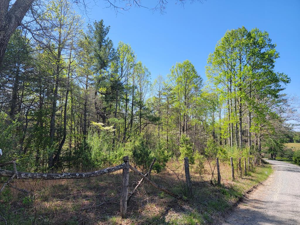 Tucked away in the heart of Grayson County, this beautiful 4-acre wooded tract offers the perfect blend of privacy, convenience, and flexibility. Featuring a healthy mix of mature hardwoods and white pines, the land provides a peaceful, natural setting with plenty of character. With over 500 feet of road frontage, this property offers excellent access and the unique opportunity to divide into two separate 2-acre tracts—ideal for building two homes, creating a family compound, or even selling off a portion down the road. A couple of homesites are already nearly cleared, giving you a head start on building your dream home. Located just minutes from town and shopping, yet just off a paved state-maintained road, you'll enjoy both convenience and seclusion. Whether you're looking to build now or invest for the future, this property checks all the boxes.  Opportunities like this—with acreage, road frontage, and division potential—don't come around often. Come take a look and start planning your next move.