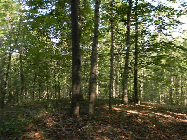 0 Traylor Branch Road
