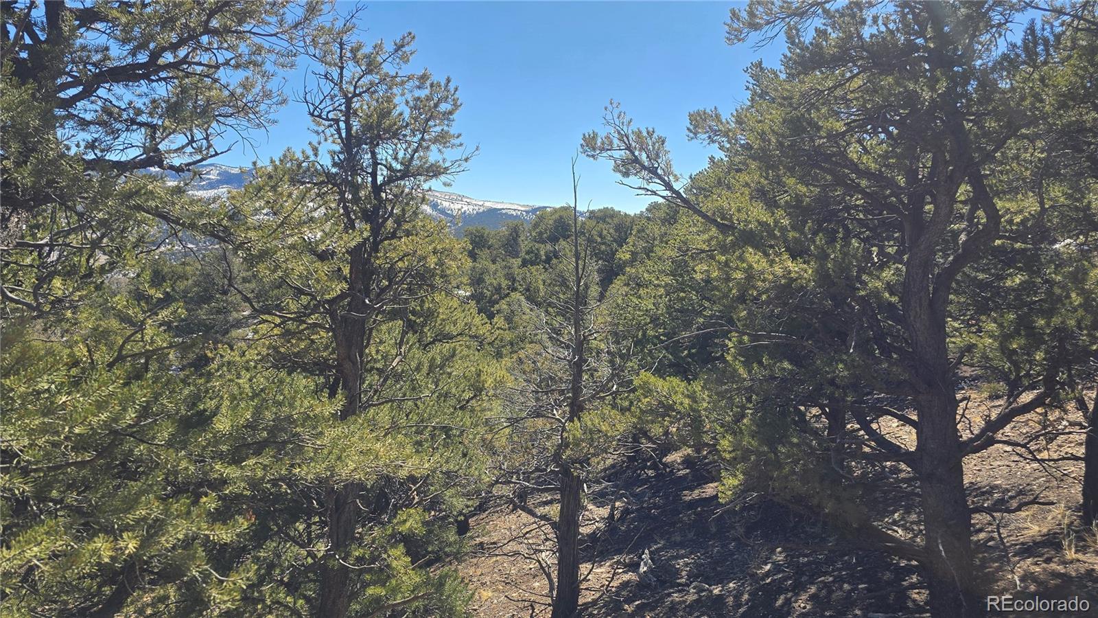 Lot 7527 Mcgillicuddy Road