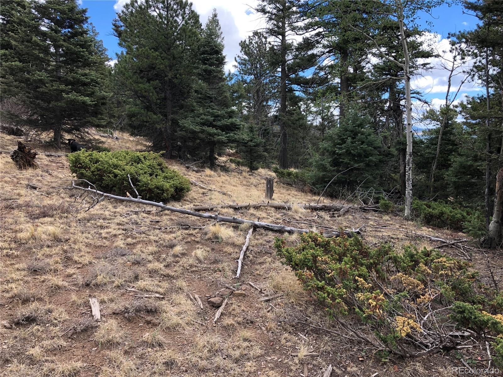 Lot 174 Ferris Place