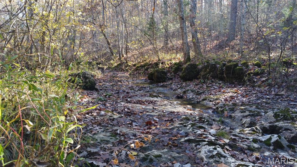 10256 Christina Trail