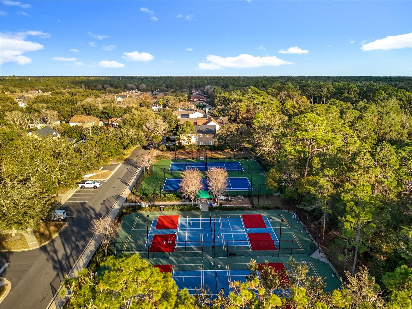 295 Northcote Court