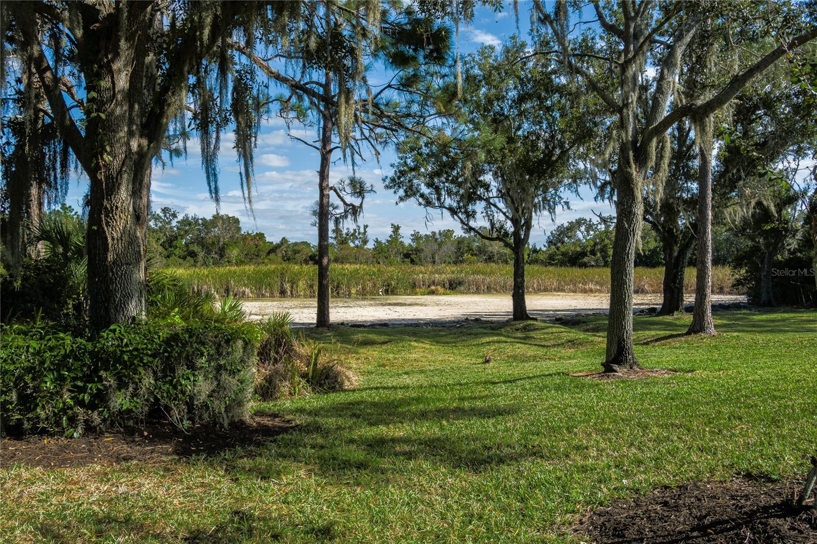 7431 Edenmore Street