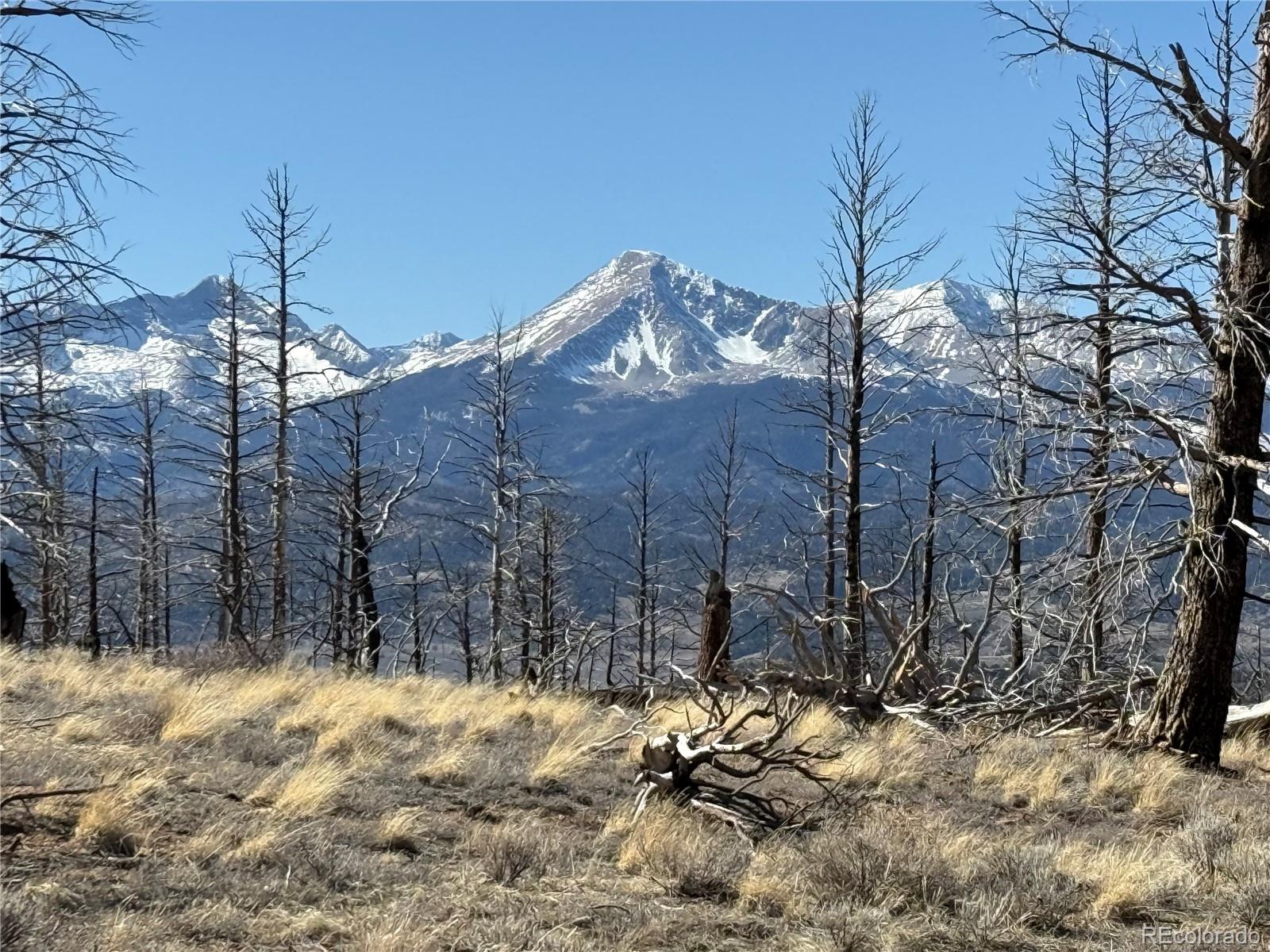 Lot 385 Soubry Place