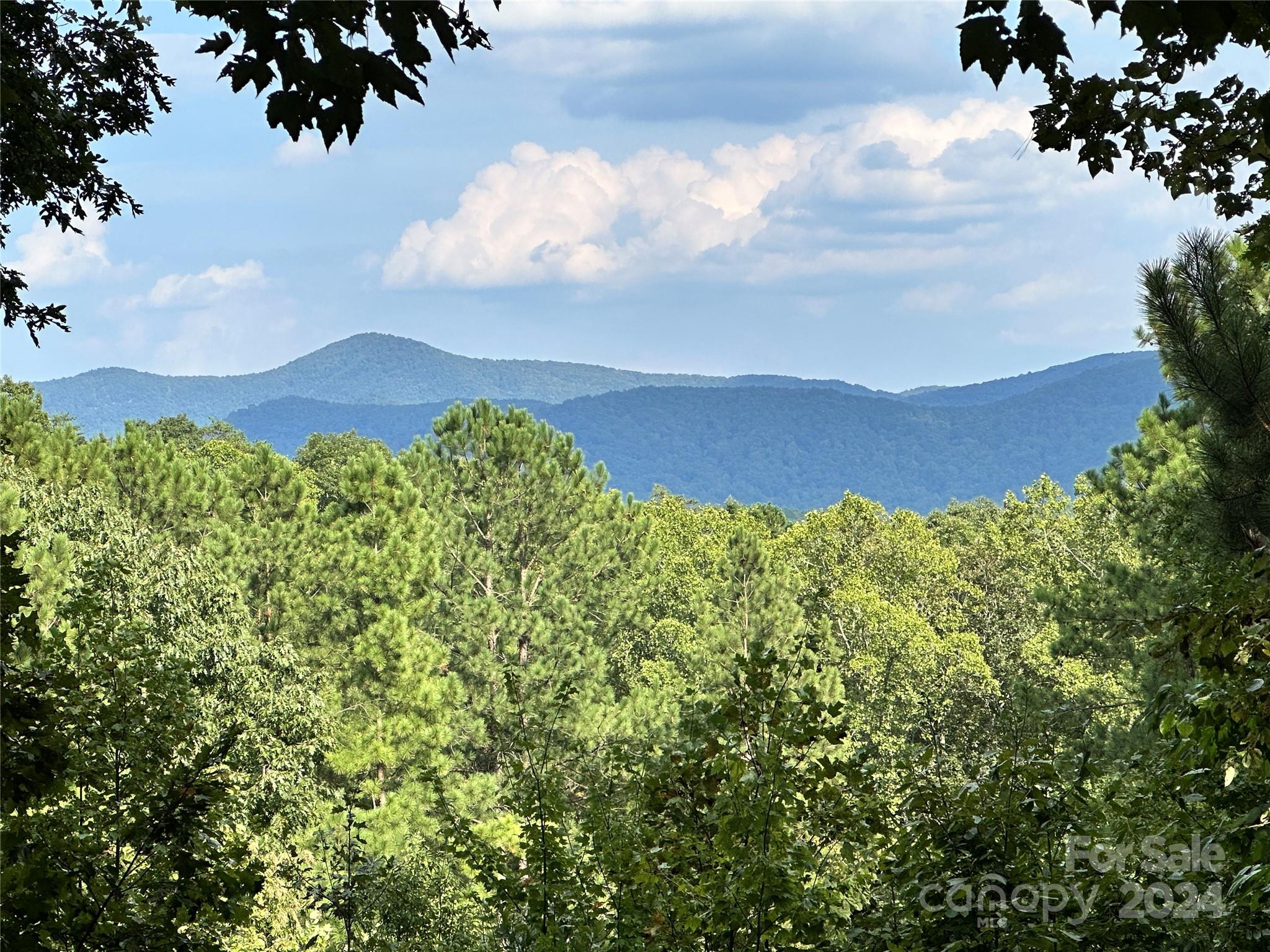 67 Dunn Trail 9