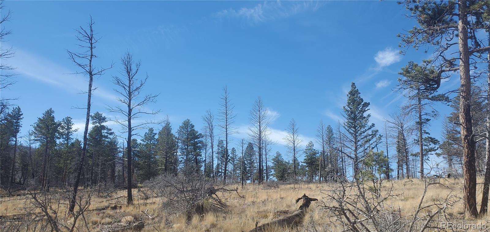 Lot 585 Leslie Loop