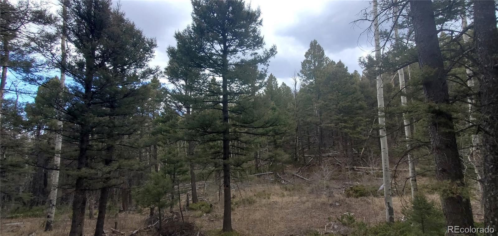 Lot 6090 Vreeland Road