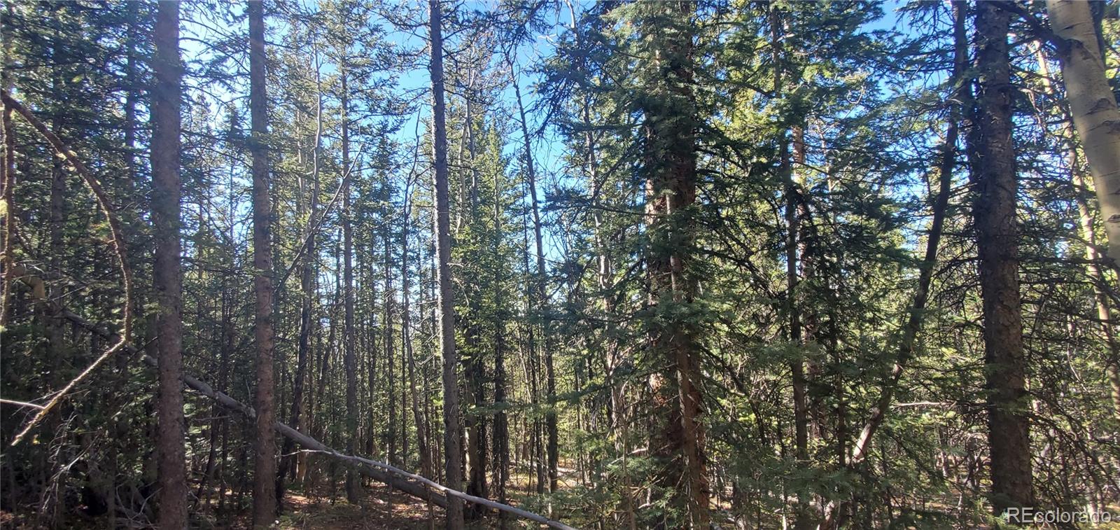 Lot 6581 Ackerman Road