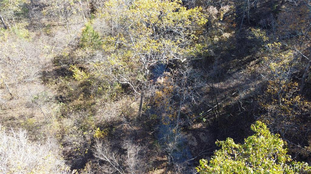 10256 Christina Trail