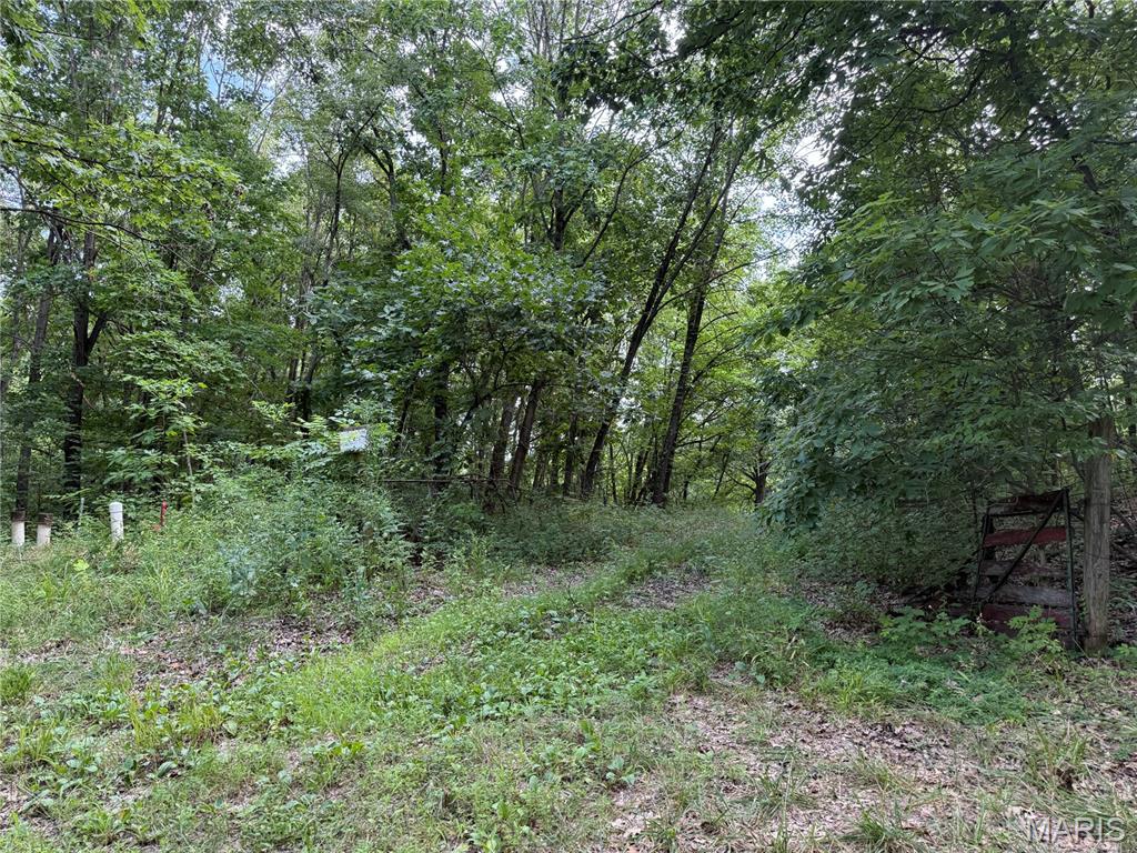40 Brush Creek Road