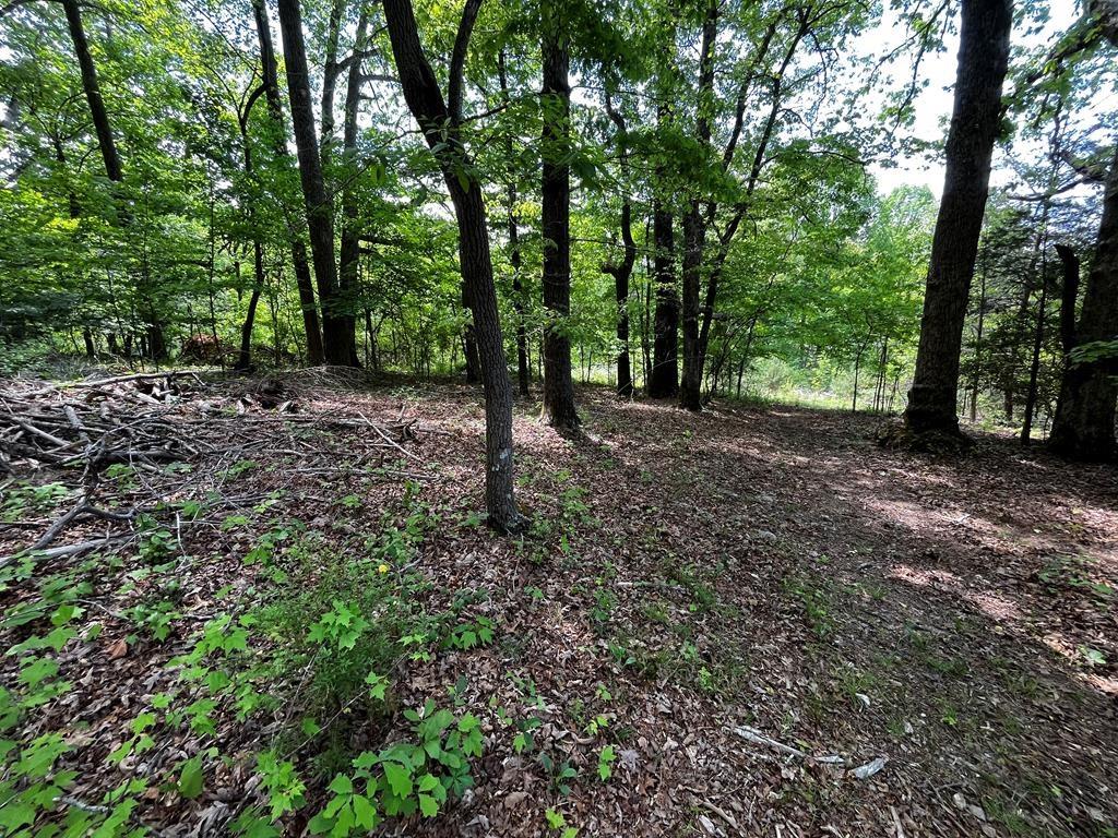 Build Your Dream Life Here! This exceptional offering of two combined lots, totaling a spacious 0.80+/- acre, provides the ideal foundation for your custom home. Imagine mornings enjoying the serenity of pond access and the peace of mind that comes with public water available. Location is key: Enjoy the convenience of nearby stores, quick trips to Mount Airy for shopping, and endless weekend adventures on the Blue Ridge Parkway. This is a chance to secure prime land in a booming area. More lots are available. Schedule your visit now—opportunities like this are rare!