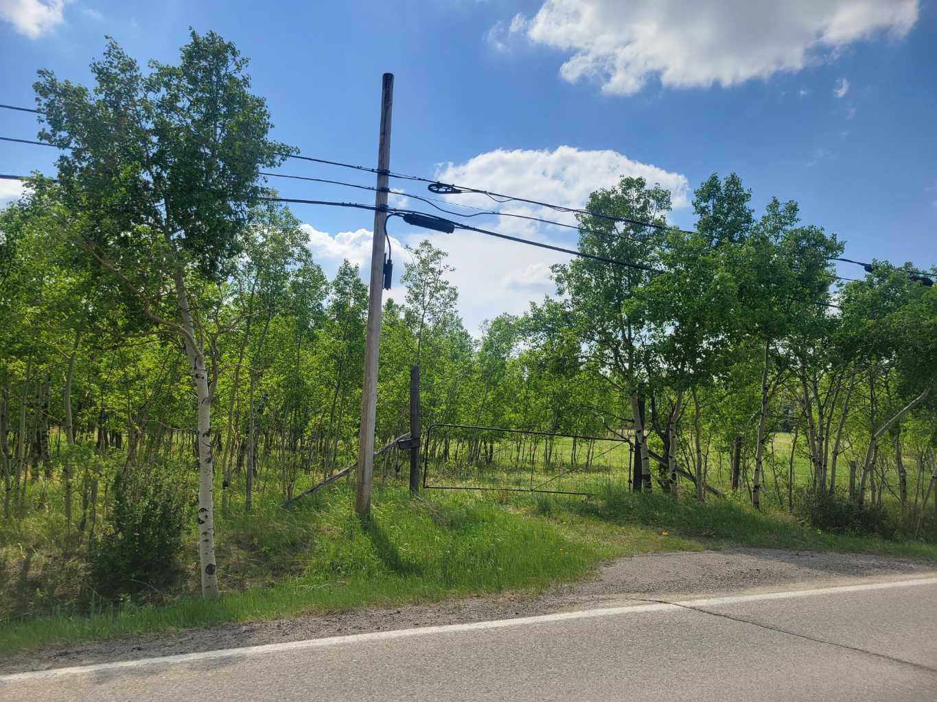 24166 Old Banff Coach Road