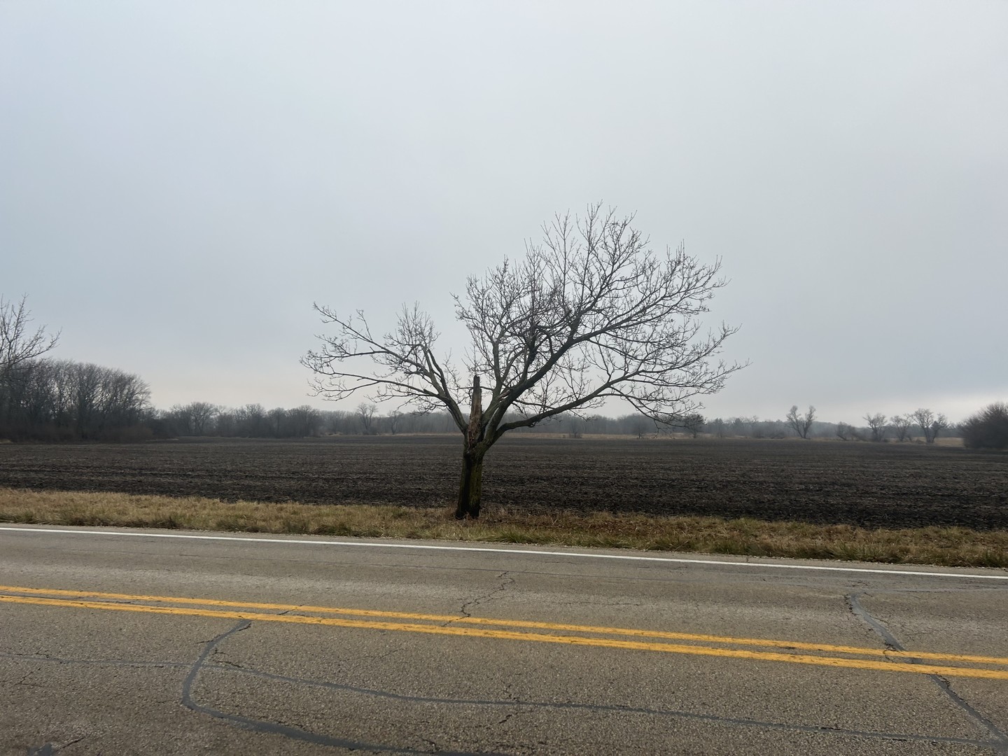Prime 70.46 acres Industrial/Commercial land (Please note, 4 acres is currently under contract, so balance is approximately 66 acres) Northern Kane County. "Golden Corridor/Northwest Tollway". I-90 full interchange 3.4 miles to the west and I-90 full interchange 4.2 miles to the east. Surveyed, Platted property includes 162 Industrial zoned lots plus 5 Commercial zoned lots, plus 1 lot zoned P and 1 lot zoned R1. Location is awesome! 1.9 miles to Randall Road Corridor "Artery for Commerce" with Restaurants, Grocery Stores, Shopping. "State approved private air strip",  30.2 miles to O'Hare airport via I-90. Property has potential railroad access. Metra 5.2 (Big Timber Elgin Metra Station). Total 169 lots. Prime Kane county land zoned mainly Industrial/Commercial Land. 2.4 miles to Amazon Fulfillment Center, 2 Walmart Super centers within 5 miles. Access the property from 3 roads, Galligan Rd, Freeman Rd and Koppie Rd. "Zoned and annexed to a development friendly municipality" Rare opportunity, motivated seller.  Property has an airstrip.