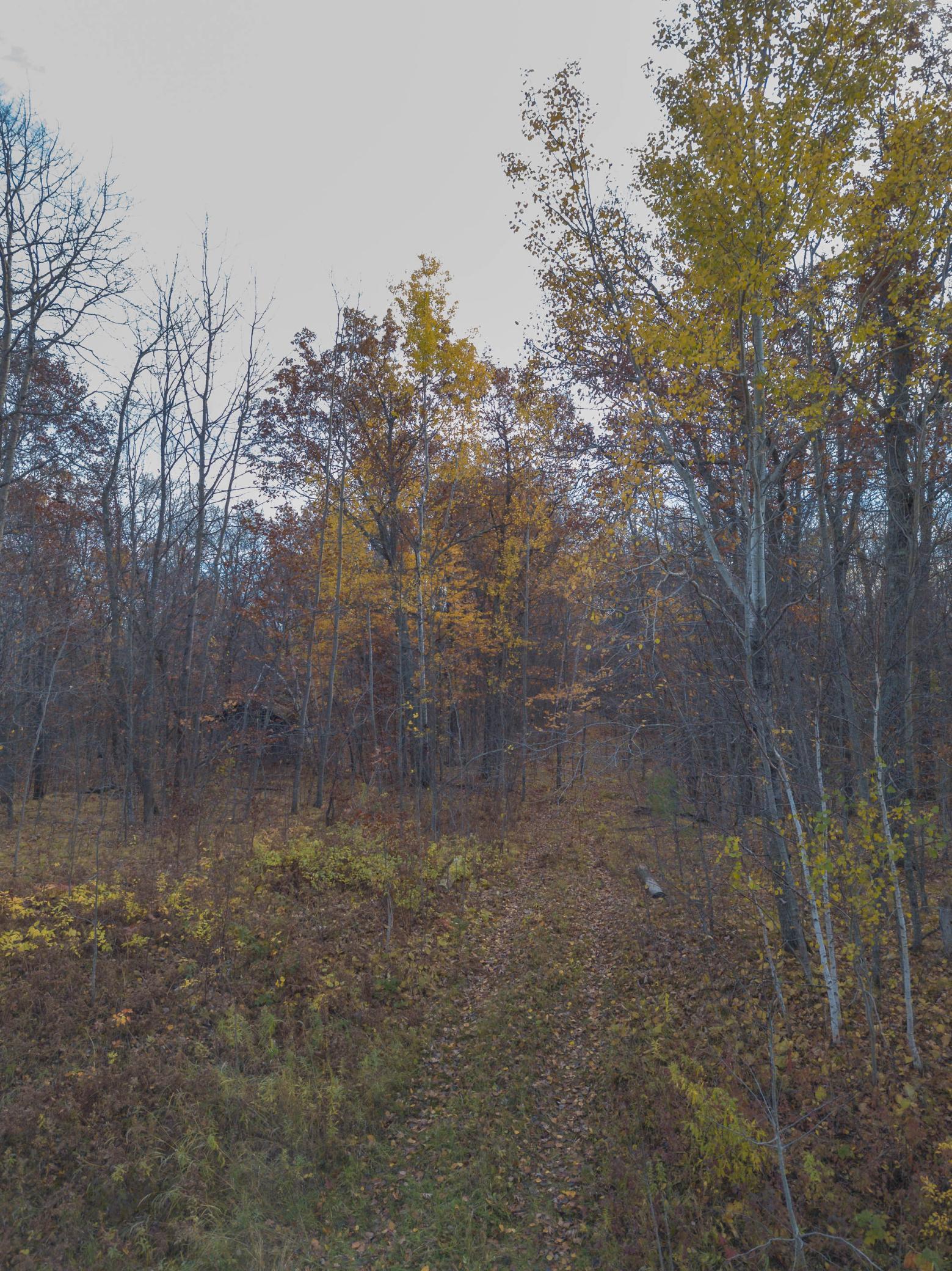 26259 County Road 26