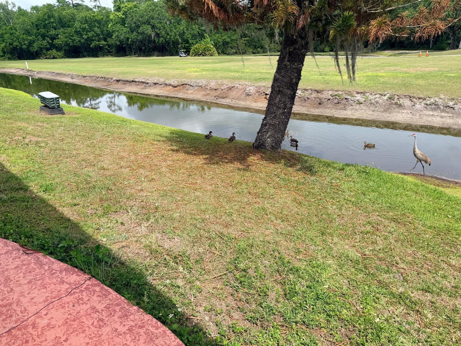 2173 Pebble Beach Boulevard