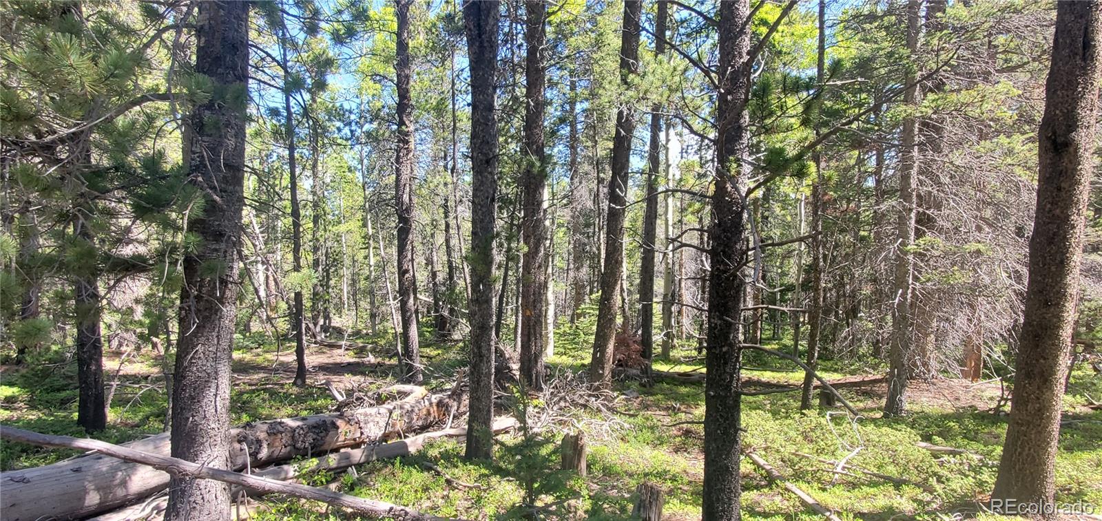 Lot 2914 Forbes Loop