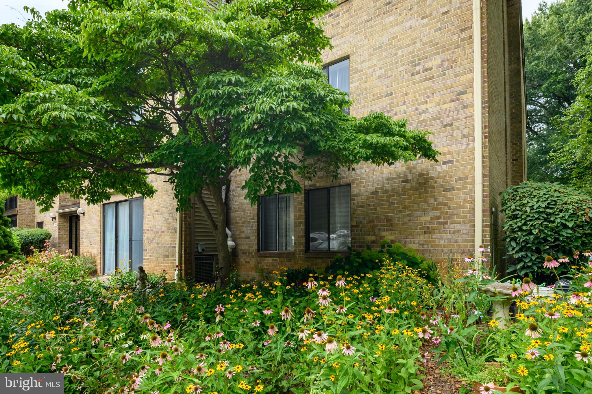 10536 Cross Fox Lane B-2