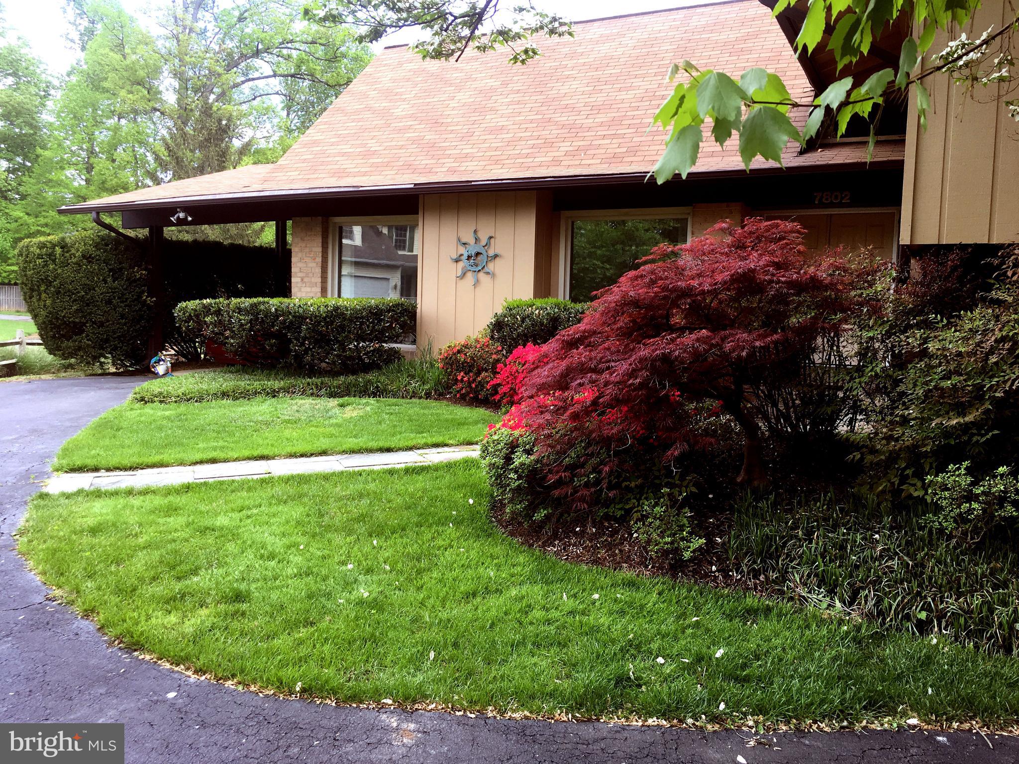 Welcome to 7802 Wincanton Court, a hidden treasure in the Fallswood community.  Nestled on a quiet cul-de-sac, this spacious 4-bedroom, 2.5-bath home is of mid-century architectural style.   Planned by the architect A.G. Mumma and built by R.J.L. Associates, the neighborhood offers character, functionality, and convenience in one of the best locations just inside the Washington Beltway.   An inviting double-door entry opens to an open foyer with vaulted ceilings, transom windows, and abundant natural light. Distinctive architectural details, including exposed ceiling beams and angular picture windows, provide a rare contemporary feel in the formal living and dining space that opens to the deck and backyard.  The bright kitchen with white cabinetry features recently updated appliances and an idyllic window over the sink, offering views into the backyard.  The upper level offers three bedrooms, including a generous primary suite with dual closets and a beautifully renovated en-suite bath (2026). A second fully renovated bath (2026) is situated between the other two bedrooms for privacy and convenience.  The versatile lower level is just a few steps down from the foyer and includes a spacious family room anchored by a wood-burning fireplace with a stone surround.  A fourth bedroom and a renovated powder room (2026) are conveniently located on this level.  There is an additional level with a recreation room that includes a wet bar area and sink, laundry room, and ample storage. Outside, enjoy a spacious backyard for relaxing or entertaining. Ideally located just steps from the W&OD Trail and minutes from West Falls Church Metro, Falls Church Little City and the Mosaic District.  The location is ideal for access to shopping, parks, and major commuter routes via Route 7, I-66, I-495, and the Dulles Toll Road. Fairfax County Public Schools are highly ranked:  Shrevewood Elementary, Kilmer Middle, and Marshall High School. This is a wonderful opportunity to enjoy space, convenience, and community in a prime Falls Church location.