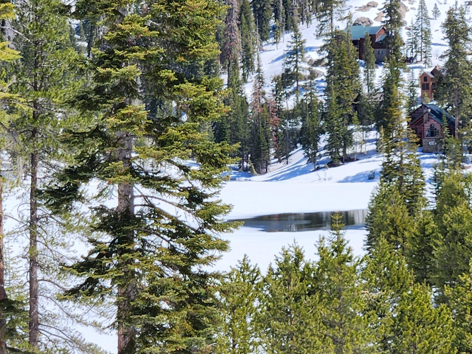 735 Bloods Ridge Road