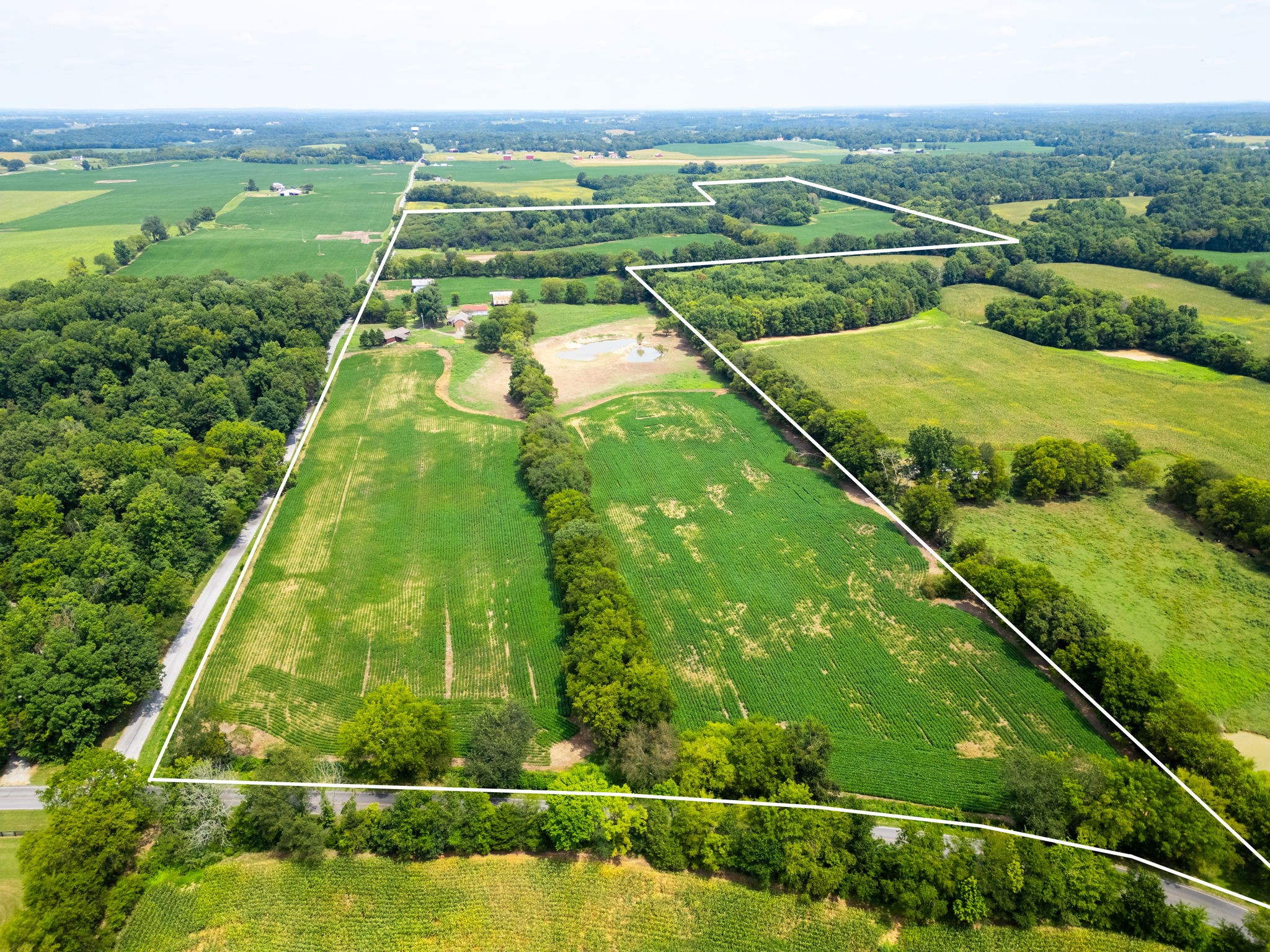 Hard to find 88.5 acres with 2 houses - both in need of rehab - but the possibilities are endless - several out buildings - including storage barn -stock barn - tobacco barn - ponds - currently leased for crops - apprx 3000 ft of road frontage on Caney Sink road and apprx 773 ft on Port Royal - Main house has basement where garage was converted to living space ! Beautiful setting - Land is currently leased for row crops - lease will need to be fulfilled or satisfied -