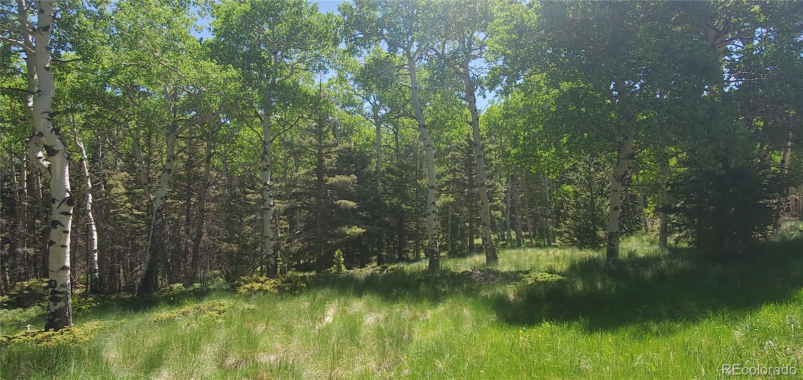 Lot 3085 Henderson Lane