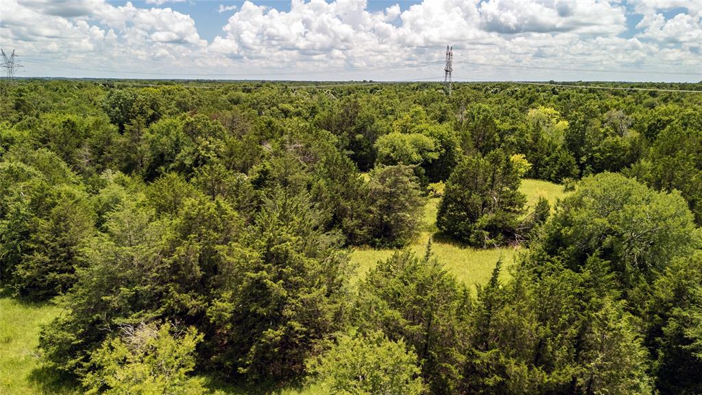 Seller Finance is available. This 10-acre tract of land, ideally situated just 10 minutes south of Wortham and a mere 20 minutes from Corsicana offers the ultimate blend of convenience yet is close to several stunning lakes and the city!  It is one of several that are currently available and includes a stock pond. With no deed restrictions, a new 4-inch water line and water tap fees have been paid, saving you thousands, the possibilities are endless—whether you're envisioning a large homestead, a weekend retreat, or an investment opportunity. The lush, green landscape is a blank canvas awaiting your vision. The mature trees provide a picturesque backdrop, while the open spaces offer ample room for building, farming, or recreational activities. Enjoy the peace of rural living without sacrificing accessibility to nearby towns and amenities. Photos are of the entire property.