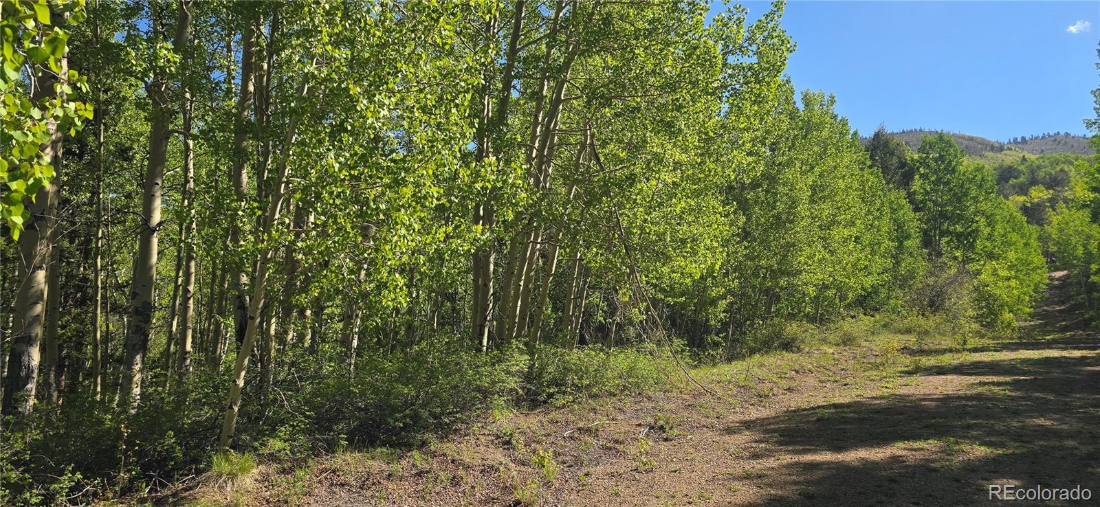 Lot 6708 Debbie Road