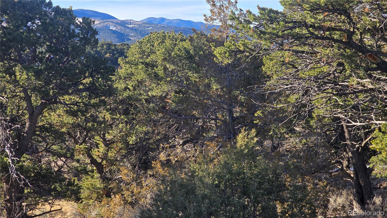 Lot 4582 Laidlaw Road