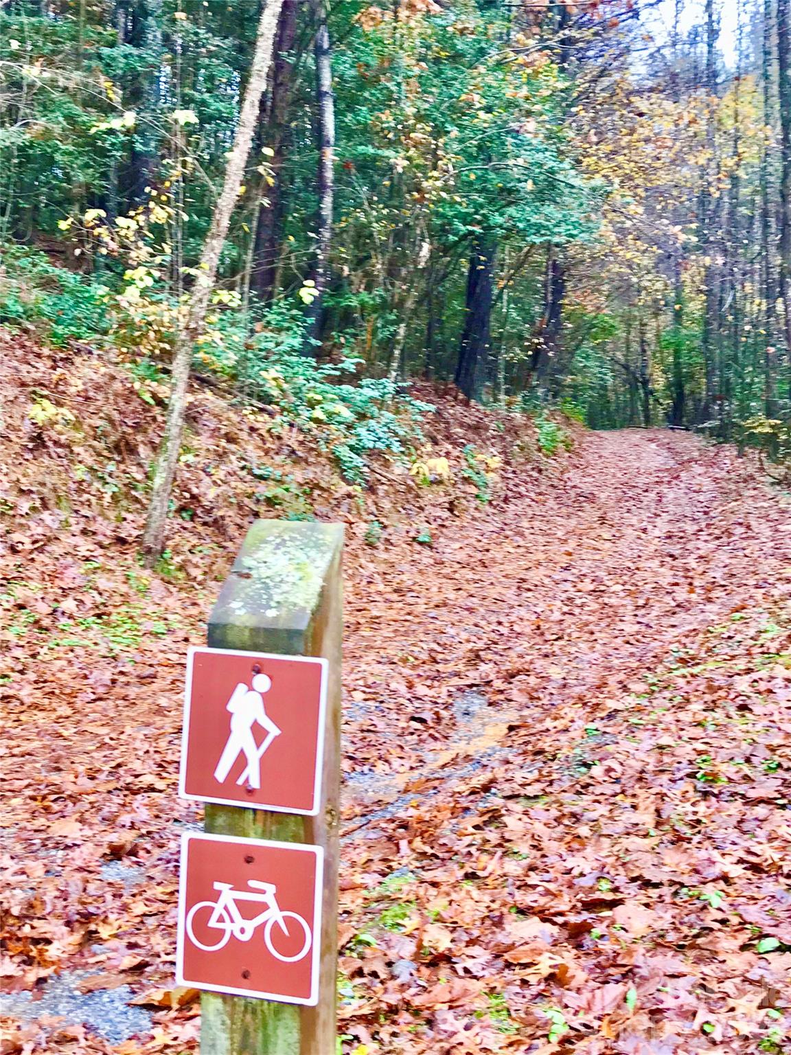 Lot 104 Johns Ridge Parkway 104