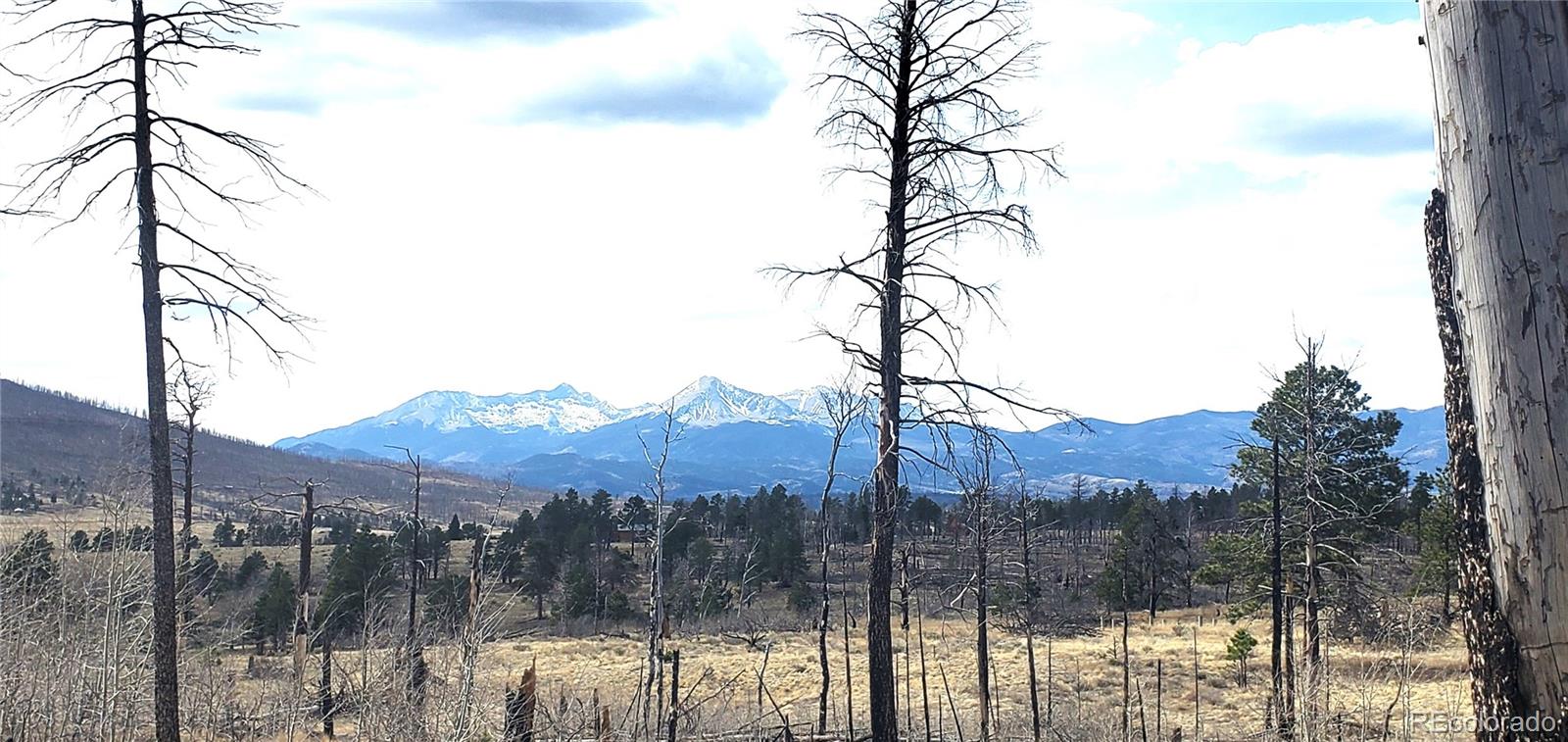lot 1223 Emery Loop