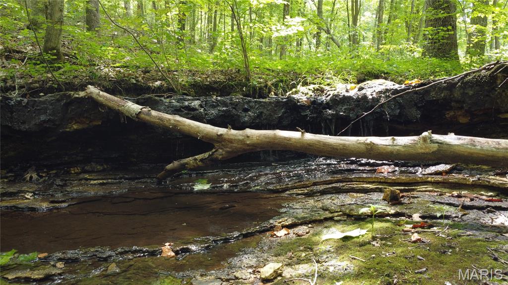 10223 San Juan Trail