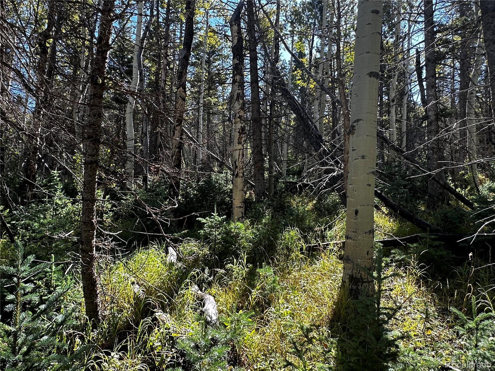 Lot 2652 Petito Drive