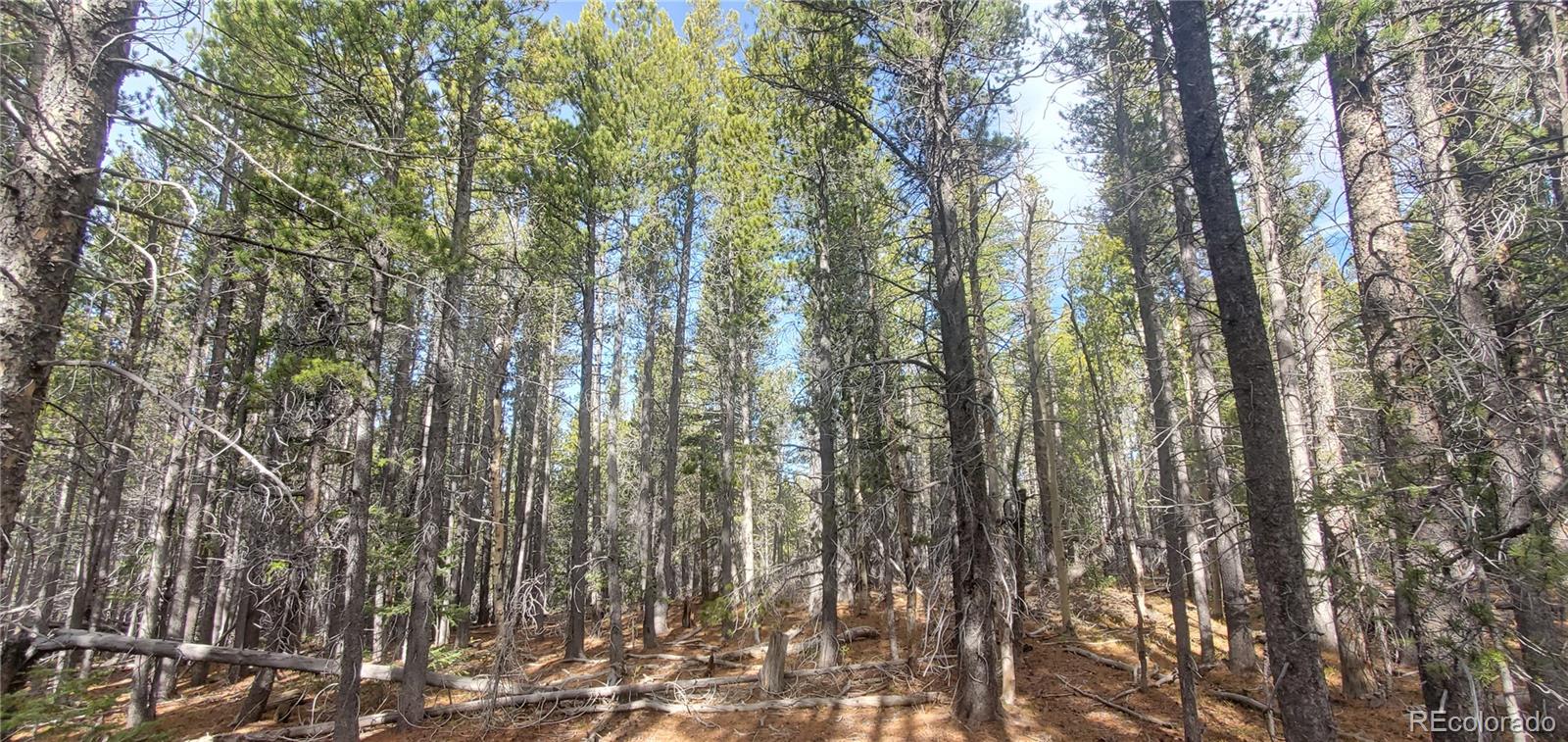 Lot 3246 Zipf Lane