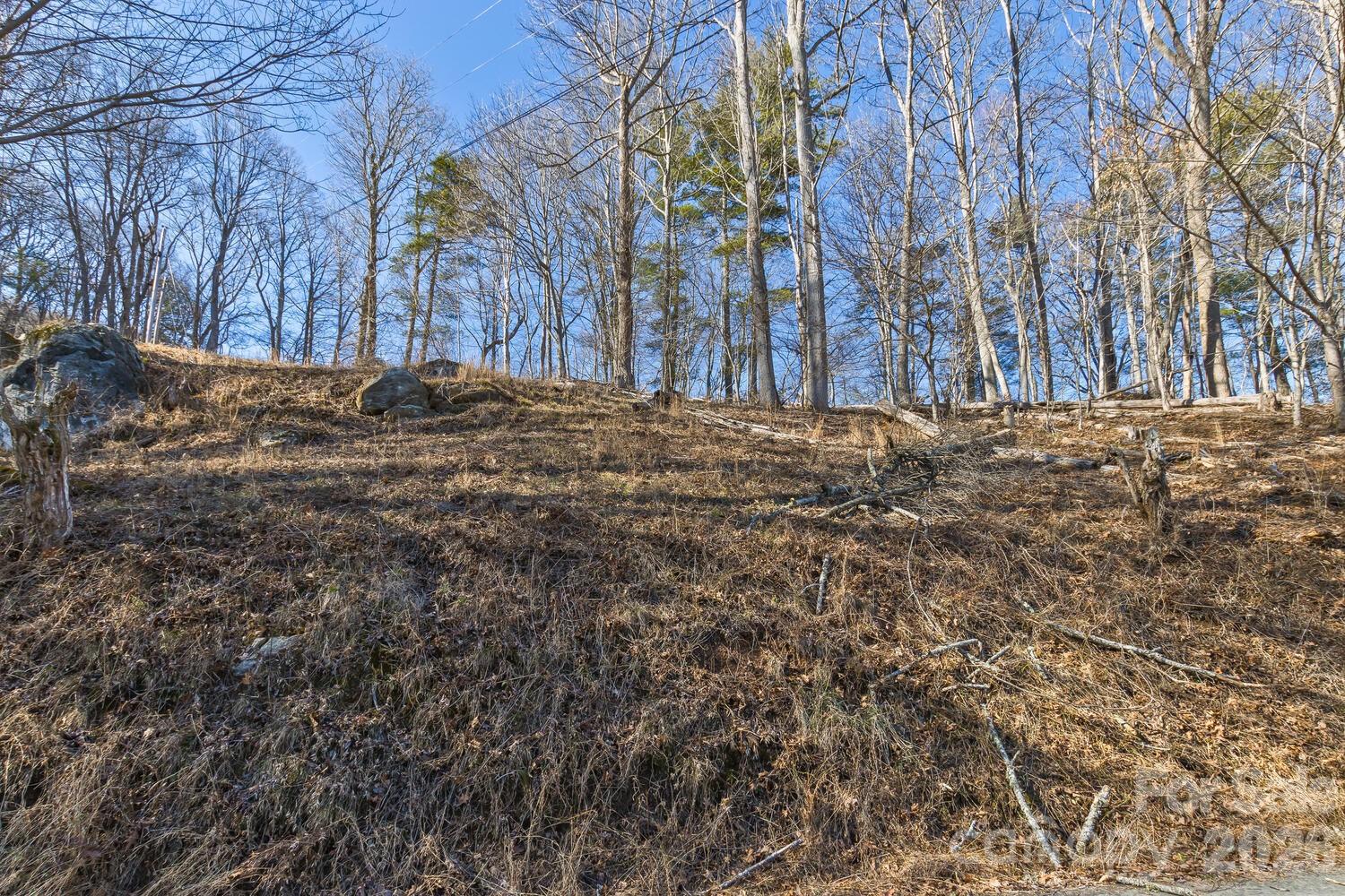 99999 Anderson Branch