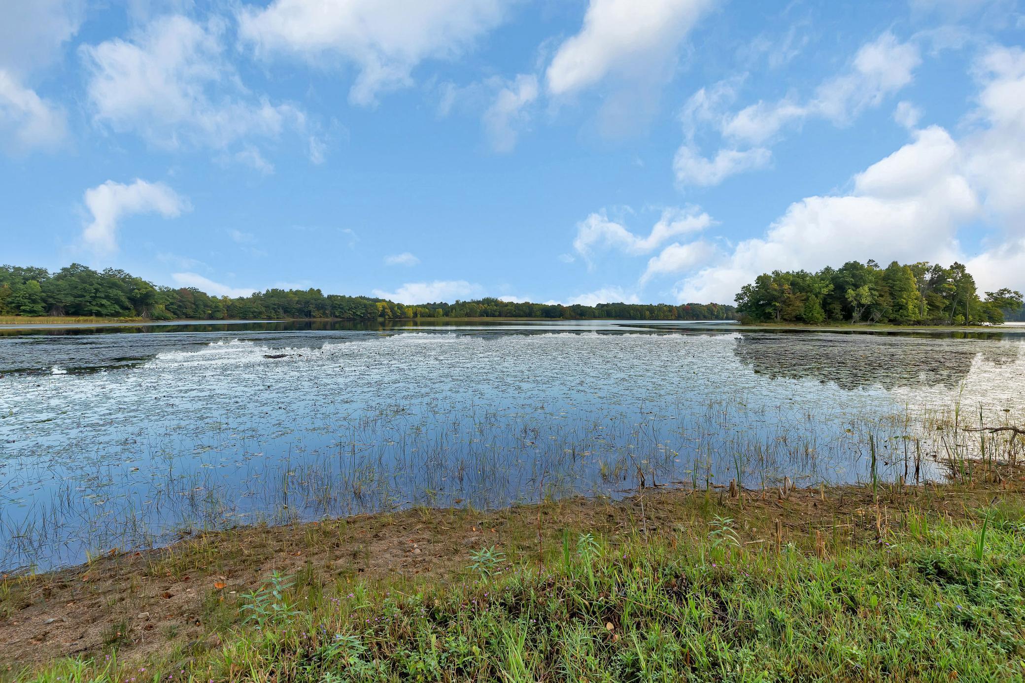 29313 Island Lake Road