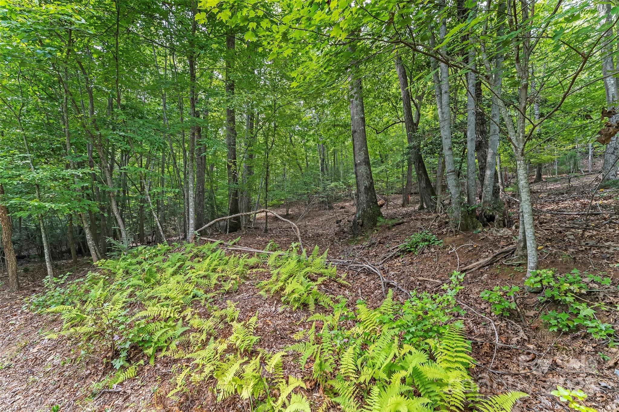 377 Harborside Drive 245