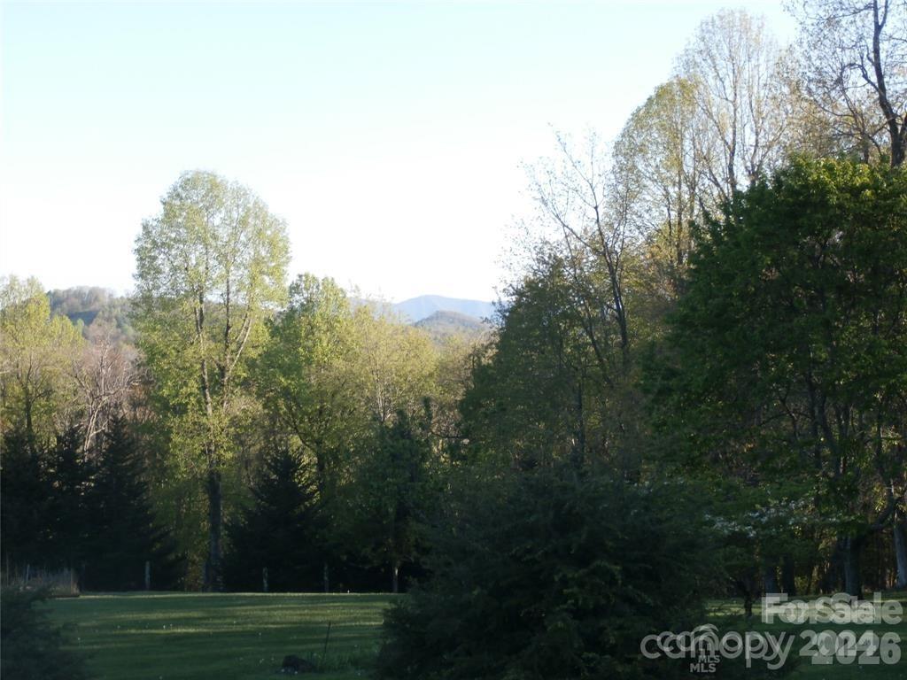 288 Firetower Road
