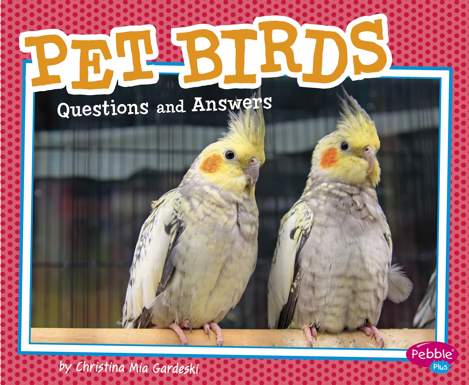 Birds questions and answers. Birds questions and answers