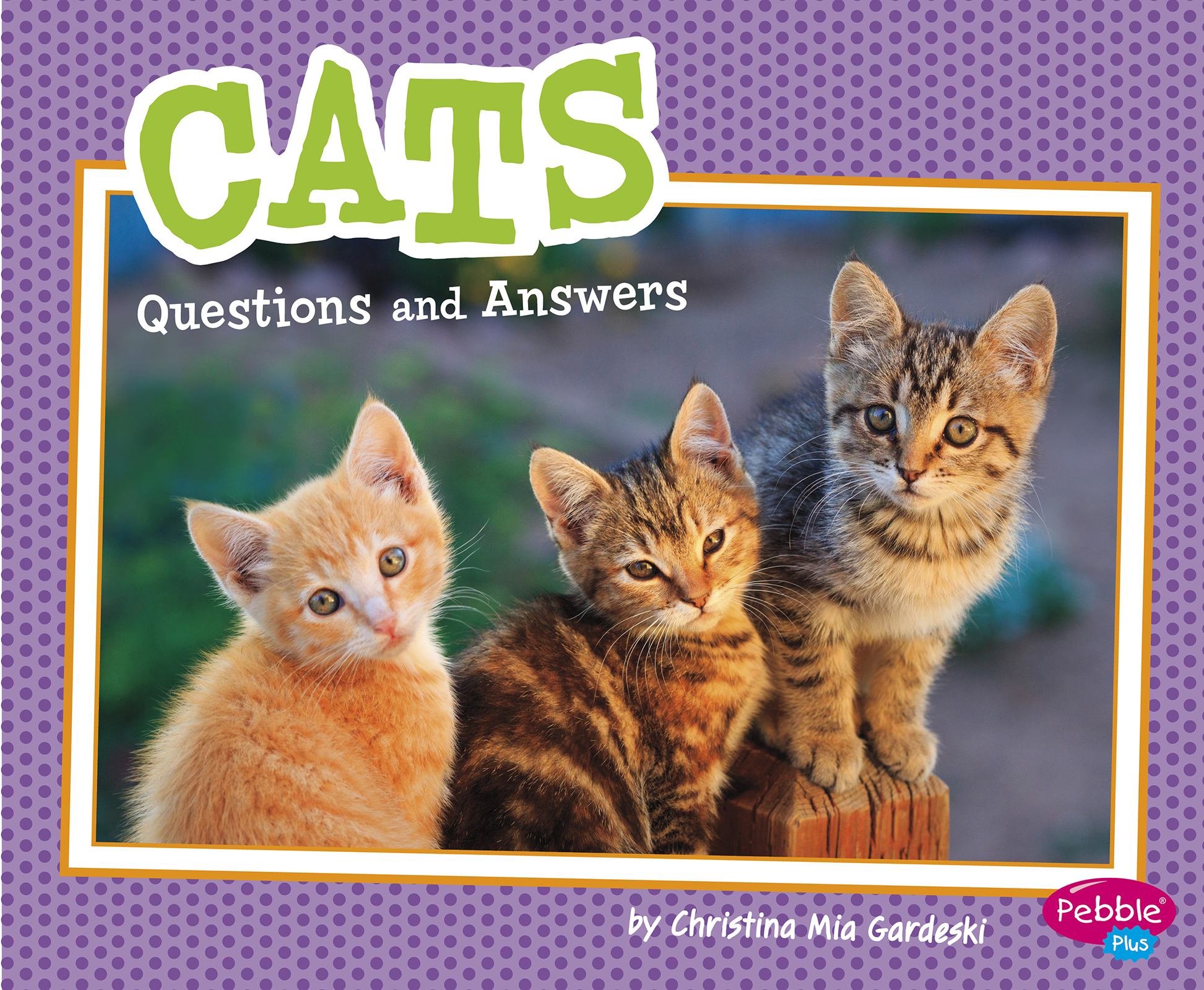 Birds questions and answers