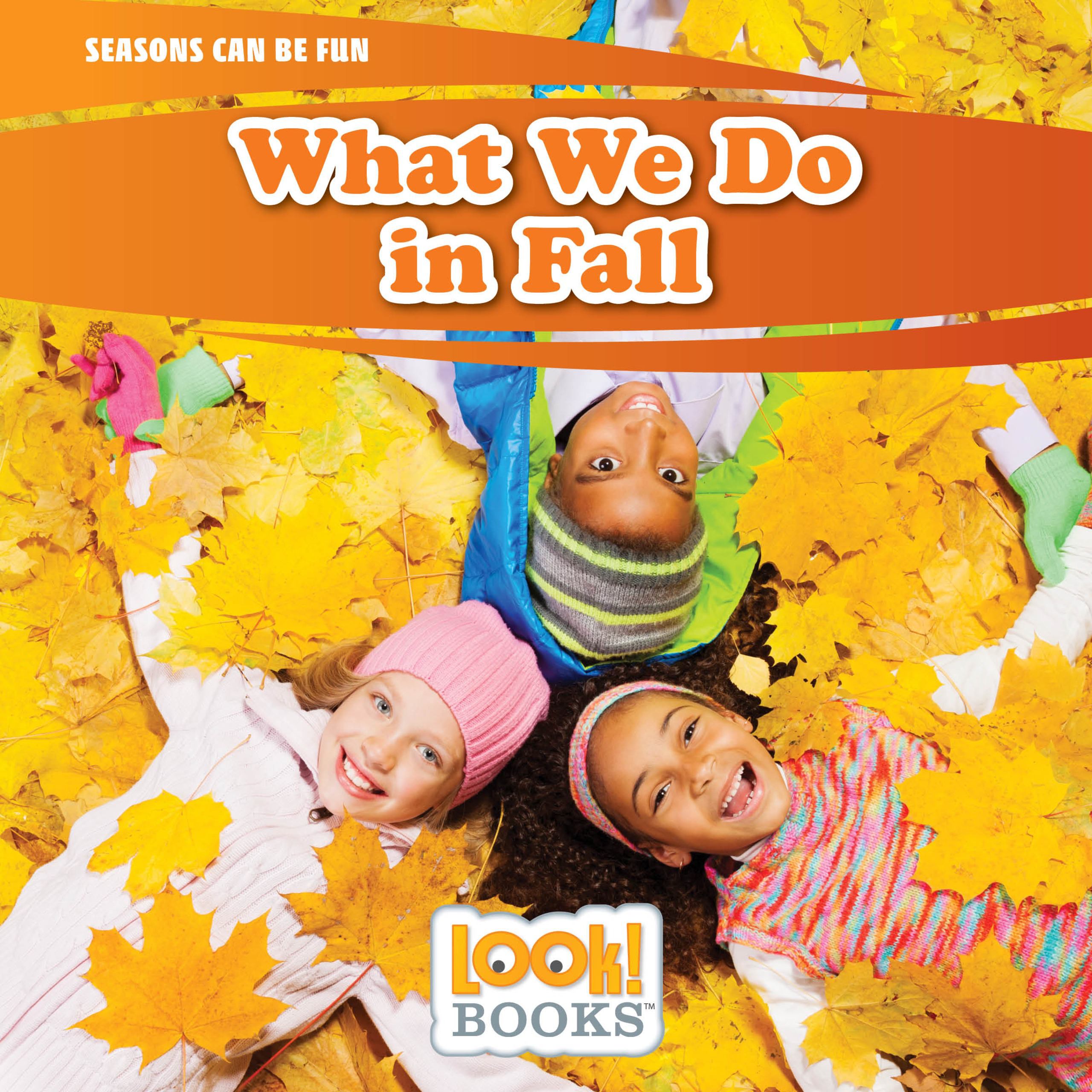 Such book. Fly high activity book.