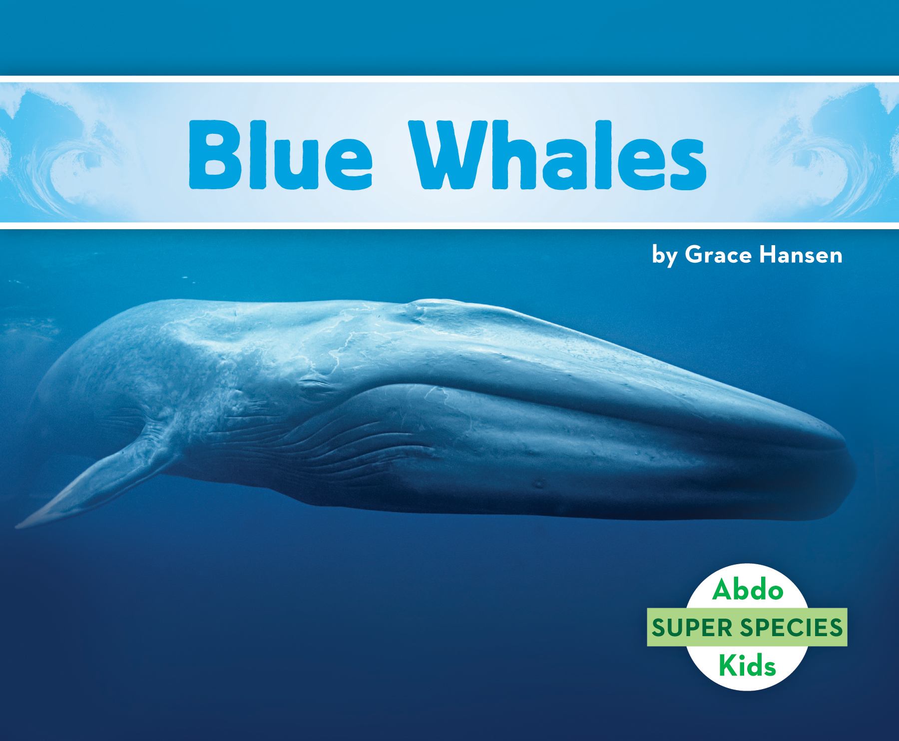 Blue Whales.