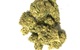 View full size image WILD BERRY - HYBRID - 21.8% THC