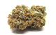 View full size image Midnight Kush (Indica)