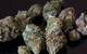 View full size image White Lightning