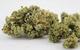 View full size image (B)$10-CRITICAL KUSH-1G