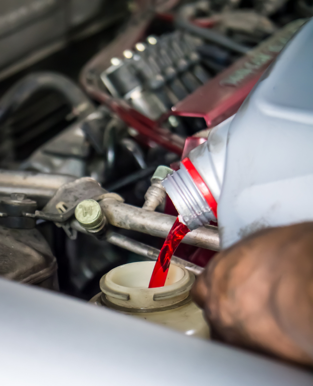 transmission fluid check