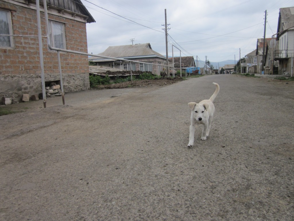 Լուսանկարը՝ Սիրուշ Մկրտչյանի