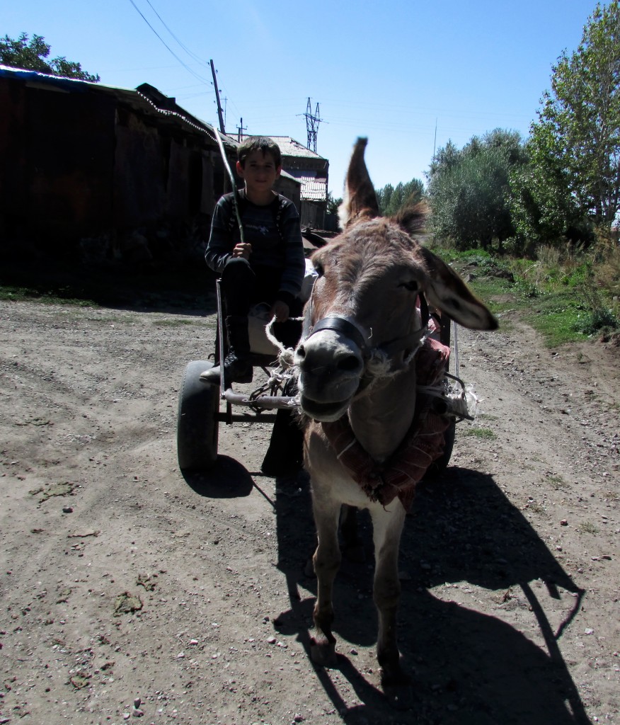 Լուսանկարը՝ Տիրուն Սարգսյանի